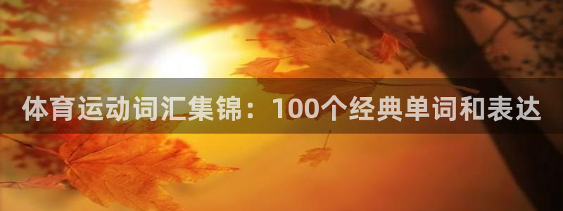 yy易游官网下载招商电话号码是多少号：体育运动词汇集