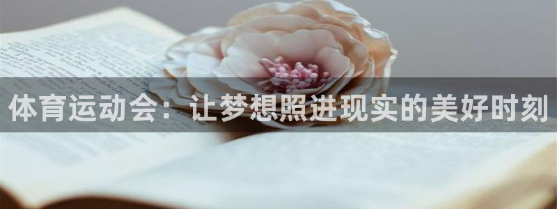 海南yy易游官网下载