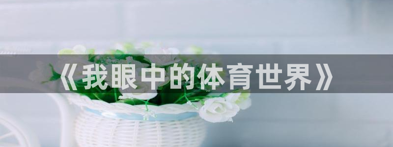 yy易游官网下载是干嘛的公司：《我眼中的体育世界》