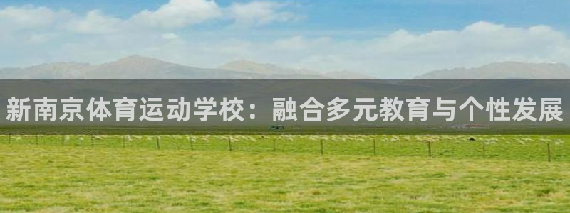 yy易游官方正版app娱乐网站：新南京体育运动学校：