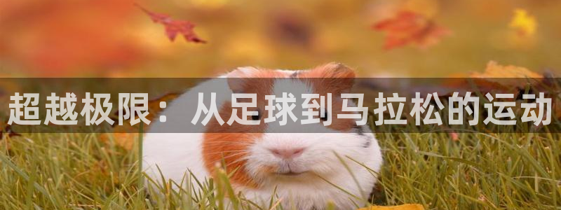 yy易游官网下载联系电话：超越极限：从足球到马拉松的