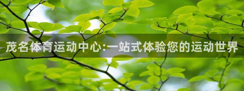 yy易游官方平台体育：茂名体育运动中心:一站式体验您