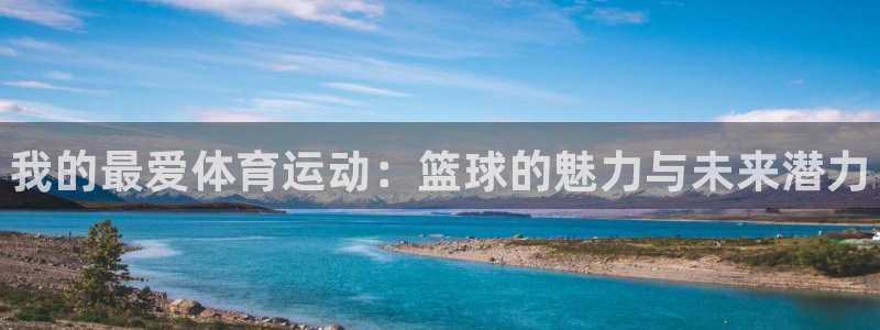海南yy易游官网下载发展怎么样：我的最爱体育运动：篮球的魅力