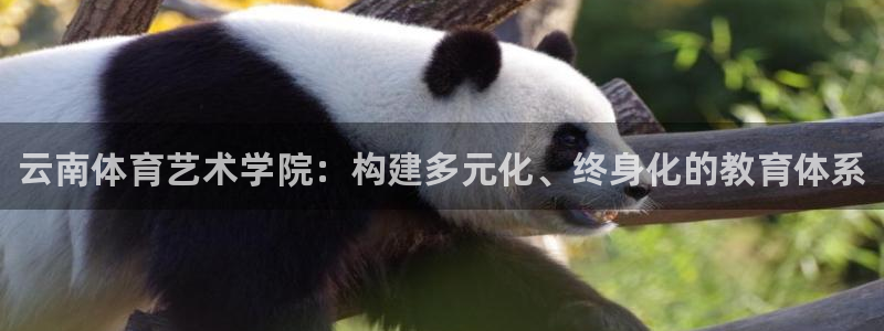 yy易游官网下载平台是正规平台吗知乎：云南体育艺术学院：构建