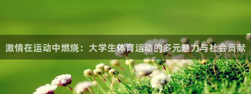 yy易游官网下载招商电话是多少：激情在运动中燃烧：大