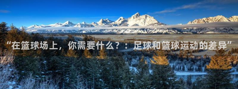 yy易游官网下载注册：“在篮球场上，你需要什么？：足