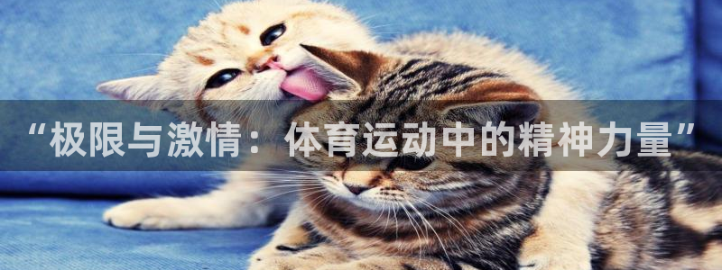 yy易游官网下载：“极限与激情：体育运动中的精神力量