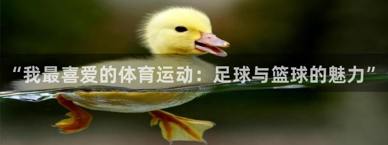 yy易游官方正版app娱乐首页官网下载：“我最喜爱的