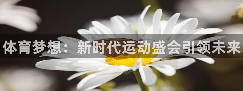 yy易游官网下载招商电话地址查询：体育梦想：新时代运动盛会引
