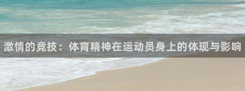 yy易游官方正版app集团简介