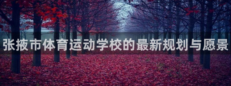 yy易游官方正版app娱乐代理怎么样：张掖市体育运动