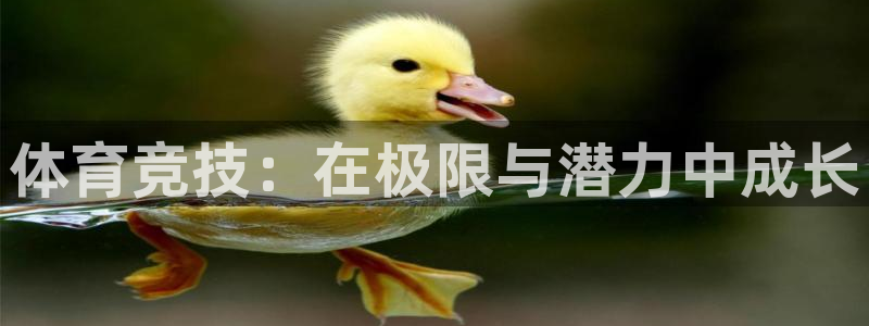 yy易游官方正版app娱乐40996：体育竞技：在极限与潜力