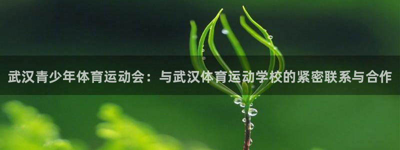 yy易游官方正版app集团官网网址：武汉青少年体育运动会：与