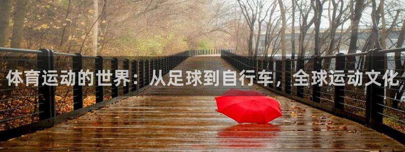 yy易游官网下载招商电话是多少：体育运动的世界：从足