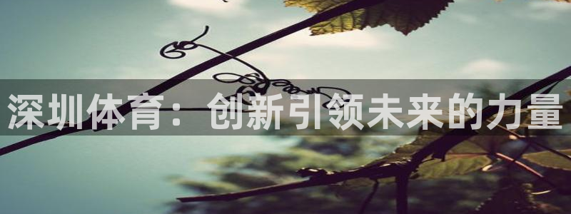 yy易游官网下载招商：深圳体育：创新引领未来的力量