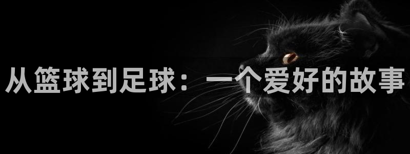 yy易游官方集团官网：从篮球到足球：一个爱好的故事