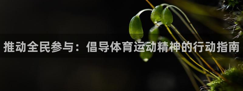 yy易游官方正版app娱乐是那个系列的台子：推动全民参与：倡