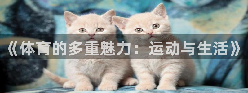 yy易游官方正版app娱乐代理怎么样：《体育的多重魅力：运动