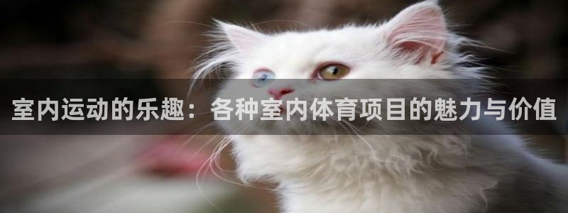 yy易游官网下载招商电话地址：室内运动的乐趣：各种室内体育项