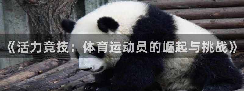 yy易游官方正版app新能源：《活力竞技：体育运动员