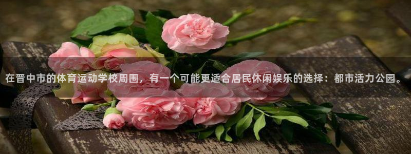 yy易游官方正版app官方：在晋中市的体育运动学校周