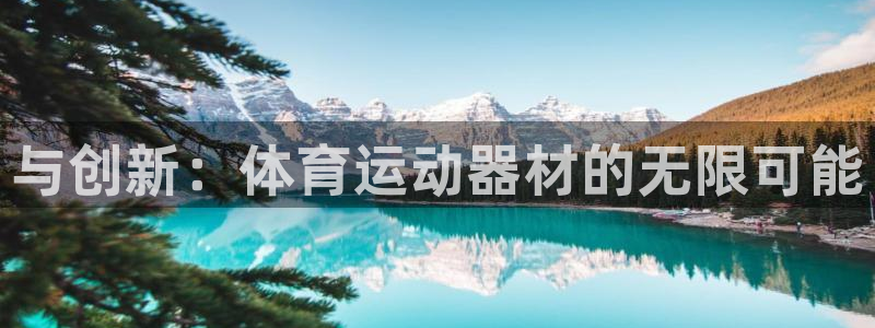 yy易游官网下载平台注册要钱吗安全吗：与创新：体育运动器材的