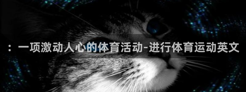 yy易游官网下载平台APP：：一项激动人心的体育活动-进行体