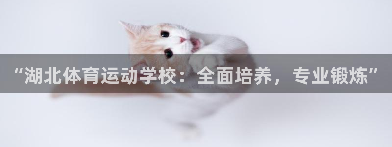 yy易游官方正版app集团官网网址：“湖北体育运动学校：全面