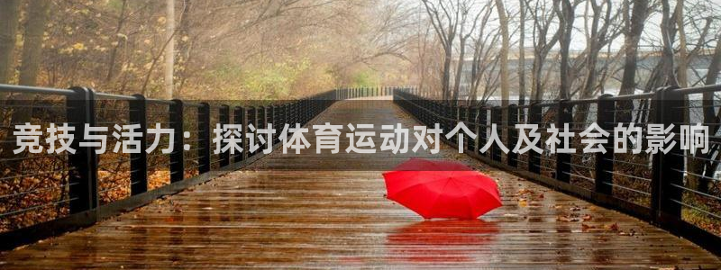 yy易游官网下载平台注册：竞技与活力：探讨体育运动对个人及社