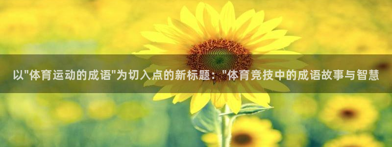 yy易游体育平台：以\