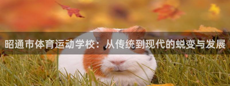 yy易游体育：昭通市体育运动学校：从