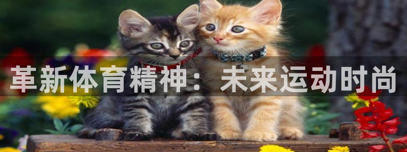 yy易游体育是正规的吗安全吗可靠吗