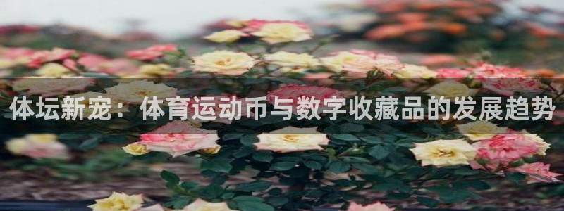 yy易游体育是正规的吗安全吗可靠吗：