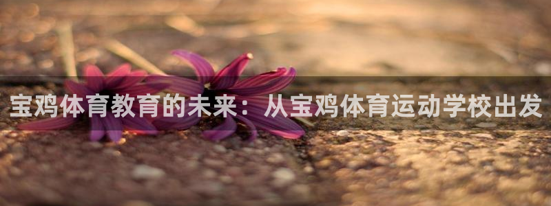 yy易游体育米乐：宝鸡体育教育的未来：从宝鸡体育运动学校出发