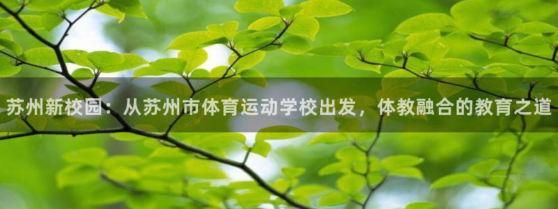 yy易游体育电竞登录不上去了：苏州新