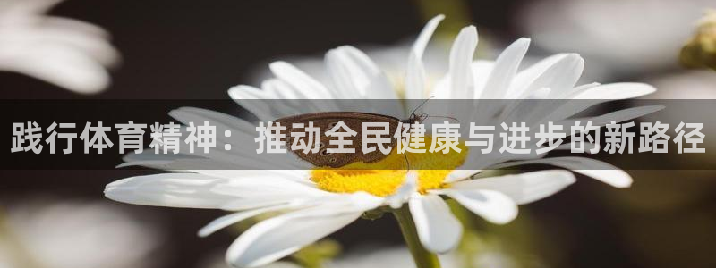  yy易游体育是正规的吗安全吗：践行体育精神：推动全民健康与进