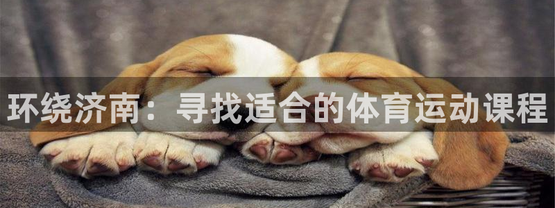 yy易游体育怎么样：环绕济南：寻找适合的体育运动课程