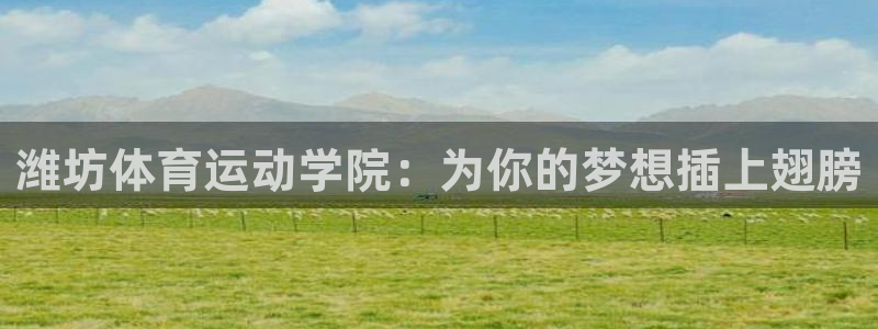 yy易游体育米乐
