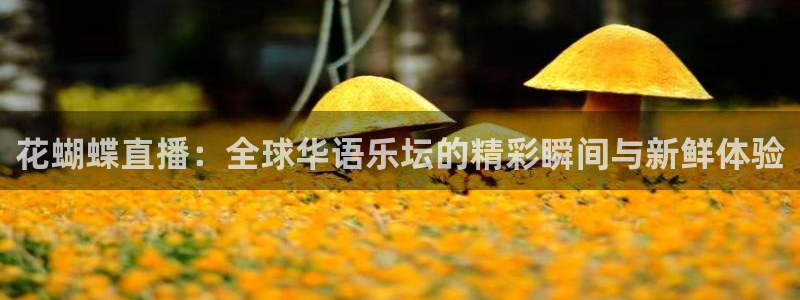 雨燕体育直播平台：花蝴蝶直播：全球华语乐坛的精彩瞬间与新鲜体验