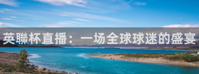 雨燕直播体育足球：英聯杯直播：一场全球球迷的盛宴