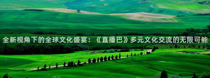 雨燕体育免费赛事直播：全新视角下的全球文化盛宴：《直播巴》多元文化交流的无限可能