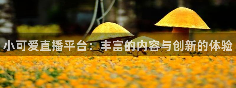 雨燕体育app直播：小可爱直播平台：丰富的内容与创新的体验