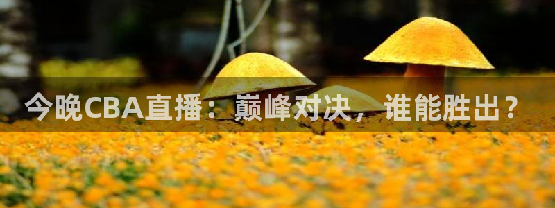 雨燕篮球直播免费：今晚CBA直播：巅峰对决，谁能胜出？