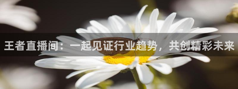 雨燕直播nba直播在线直播：王者直播间：一起见证行业趋势，共创精彩未来