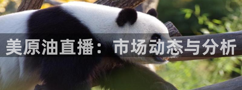 雨燕直播高清nba：美原油直播：市场动态与分析