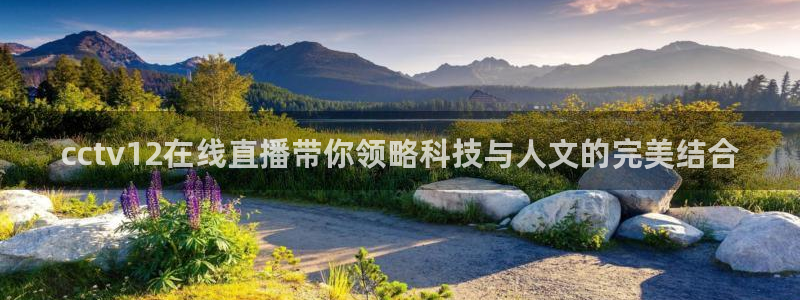 雨燕篮球免费直播：cctv12在线直播带你领略科技与人文的完美结合