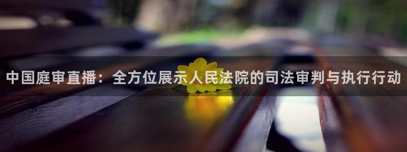 雨燕直播足球直播网：中国庭审直播：全方位展示人民法院的司法审判与执行行动