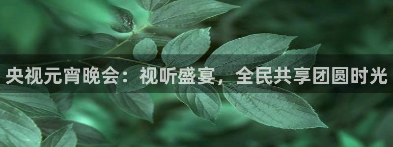 雨燕体育直播无插件高清直播