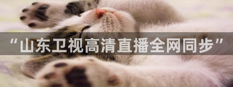 nba直播雨燕在线观看