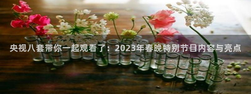 nba雨燕体育